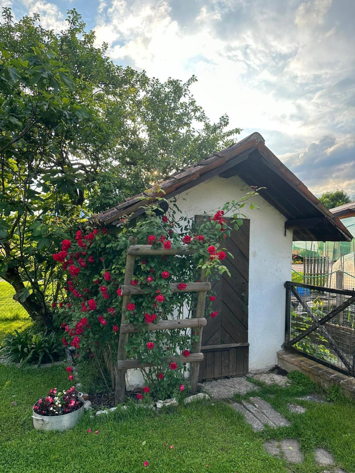 Casa Giovannella Feltre Eksteriør bilde